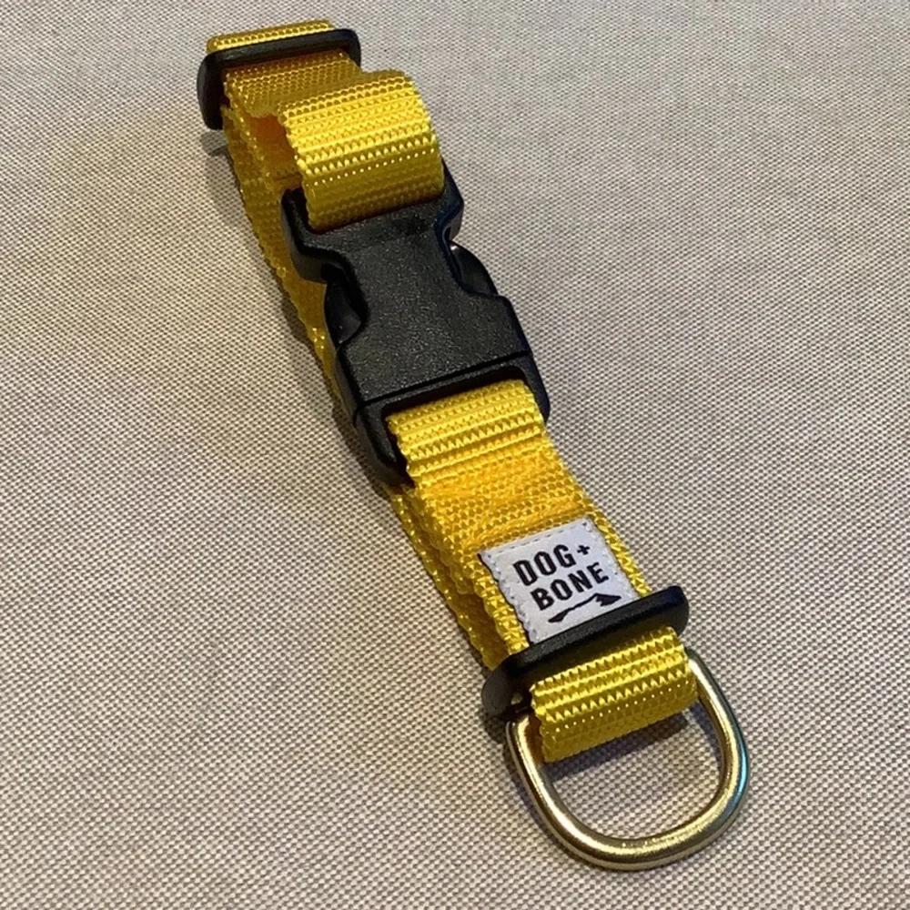 Dog + Bone - Dog COLLAR - Yellow - OS (Adjustable) - Size S 11”-14”